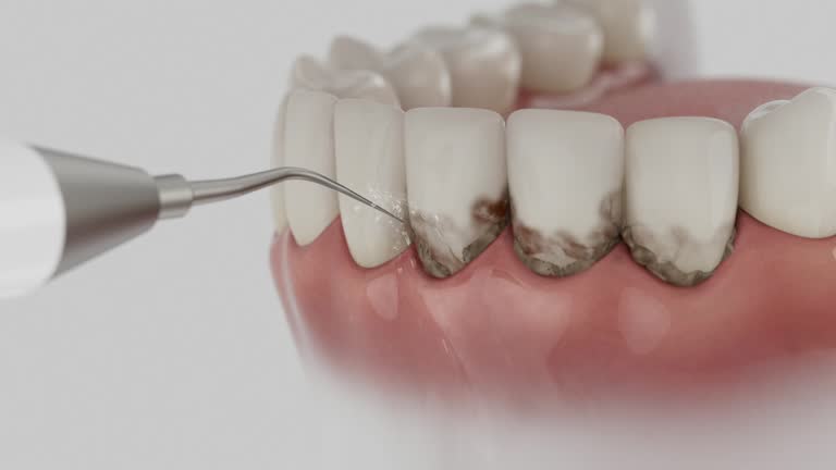 Reliable Dental contractor in West Wood, UT by Dentist Open Now